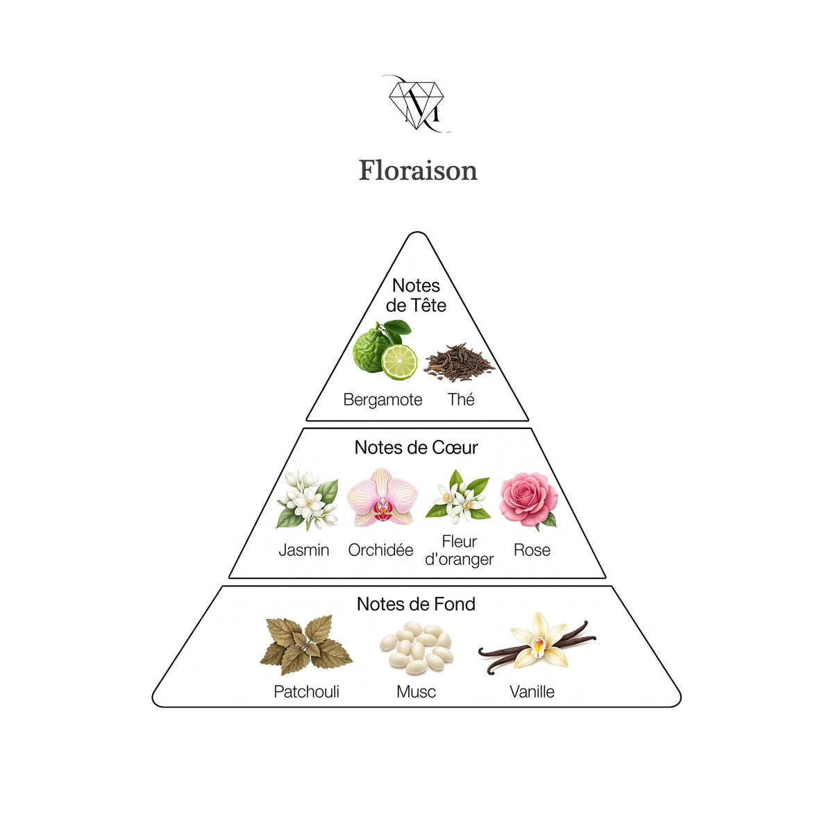 FLORAISON